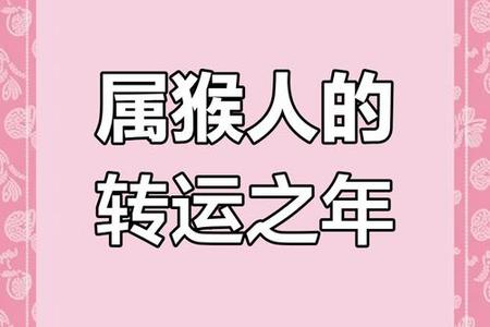 《属猴人2025年运势全解析：05月22日视角下的命运、婚姻与性格走向》