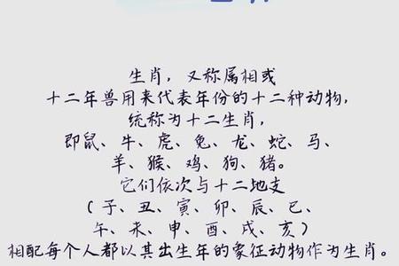 2025年05月22日十二生肖全解析：从古老传说到现代配对