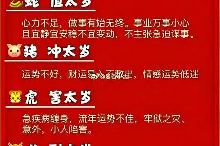 生肖猪2025年5月求职运如何
