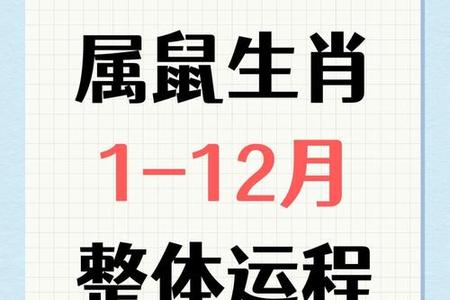 属鼠人2025年05月27日运势、命运、婚姻与性格全解析