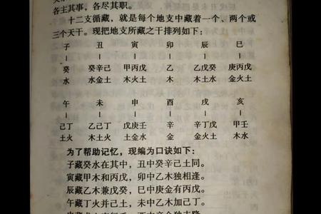 2025年05月29日的天干地支与运势解析