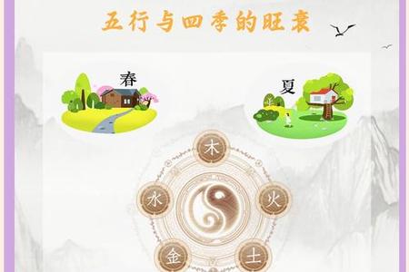 八字入门指南：2025年05月31日的命理启示