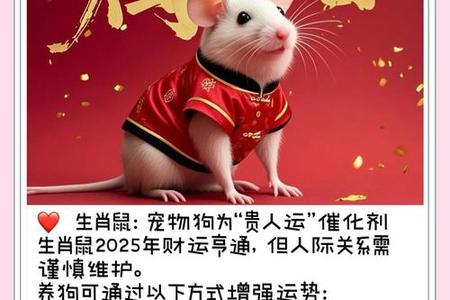 属狗人2025年06月12日运势、命运、婚姻与性格全解析