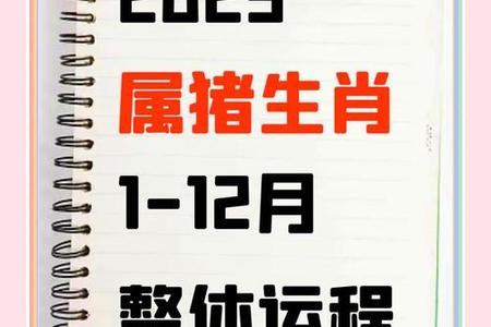 属猪:生肖属猪人的2025年06月14日运势、命运、婚姻、性格分析